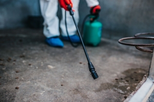 Newton Pest Control Newton Pest Control